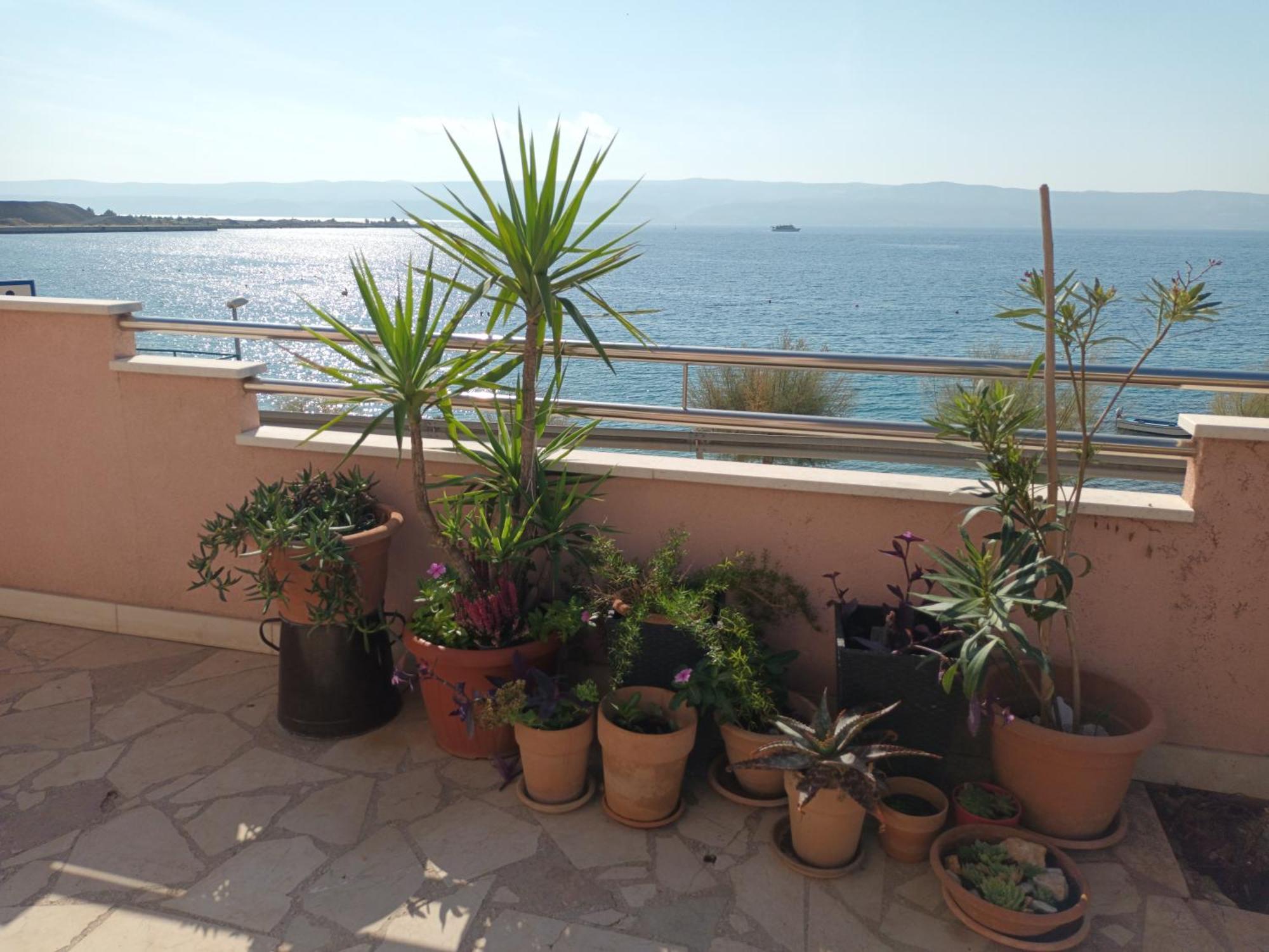 Appartamento Cici Dugi Rat Esterno foto